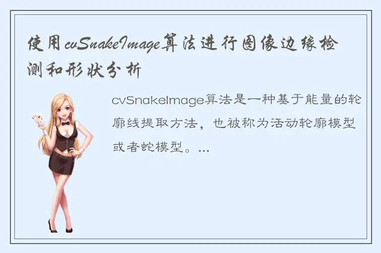 使用cvSnakeImage算法进行图像边缘检测和形状分析