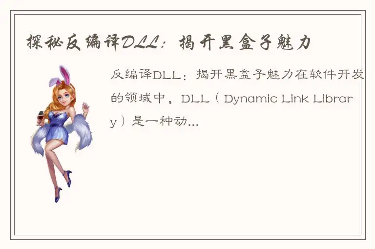 探秘反编译DLL：揭开黑盒子魅力