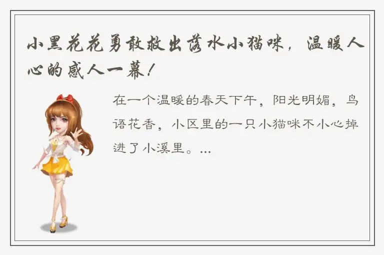 小黑花花勇敢救出落水小猫咪，温暖人心的感人一幕！