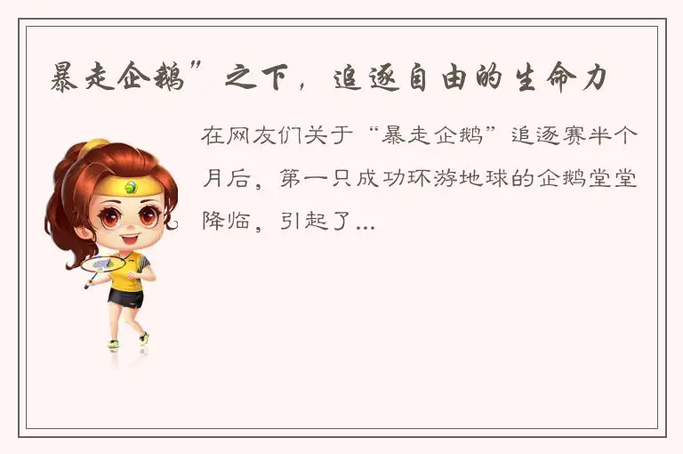 暴走企鹅”之下，追逐自由的生命力