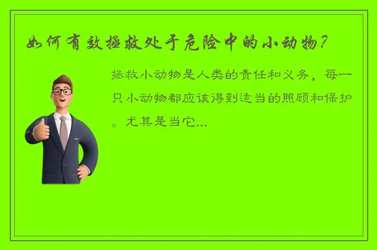 如何有效拯救处于危险中的小动物？
