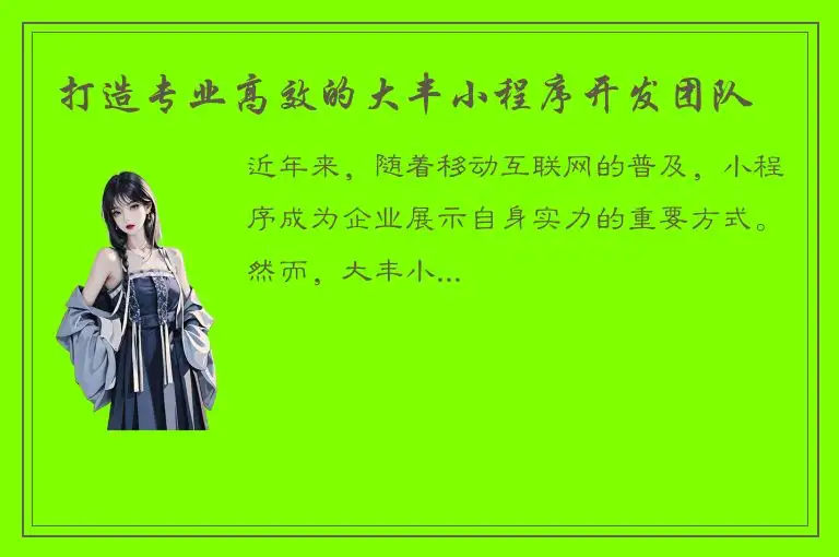 打造专业高效的大丰小程序开发团队