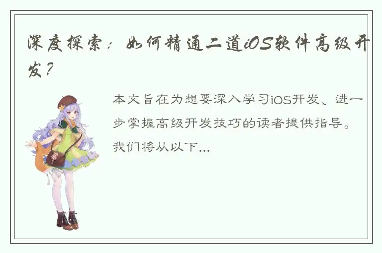 深度探索：如何精通二道iOS软件高级开发？