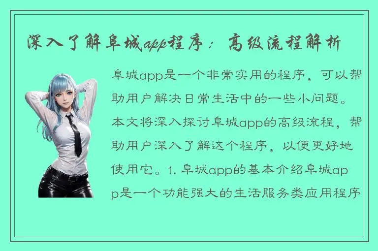 深入了解阜城app程序：高级流程解析