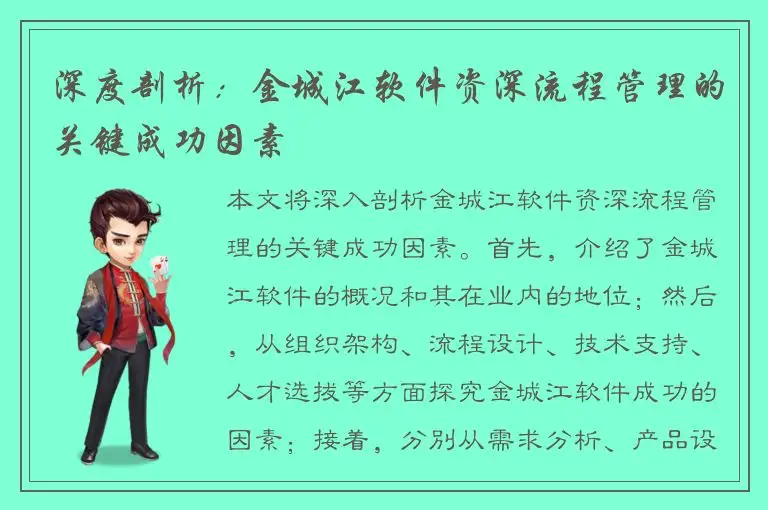 深度剖析：金城江软件资深流程管理的关键成功因素