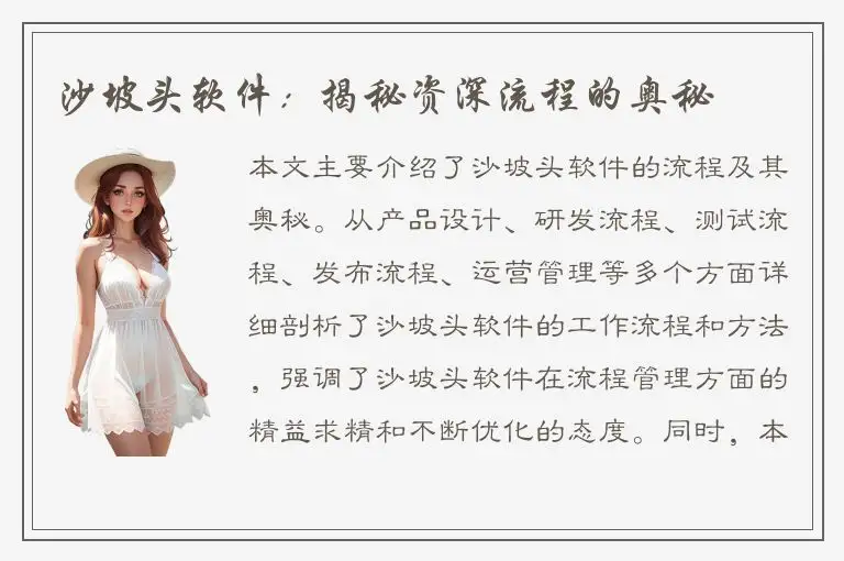 沙坡头软件：揭秘资深流程的奥秘