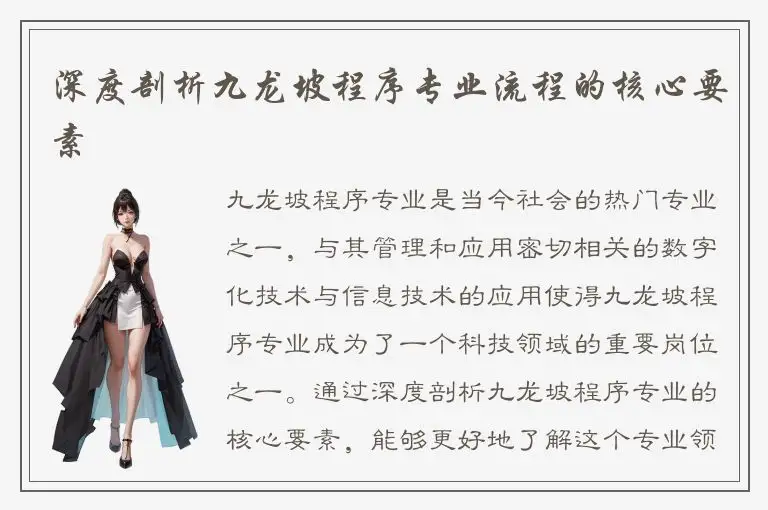 深度剖析九龙坡程序专业流程的核心要素