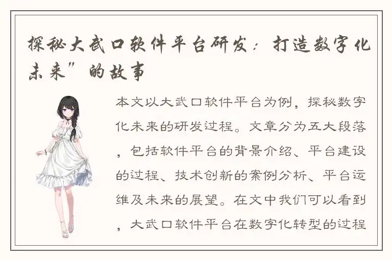 探秘大武口软件平台研发：打造数字化未来”的故事