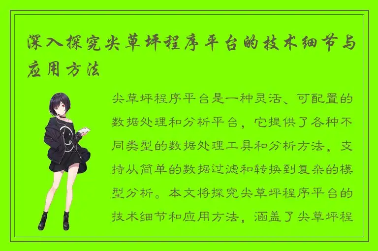 深入探究尖草坪程序平台的技术细节与应用方法