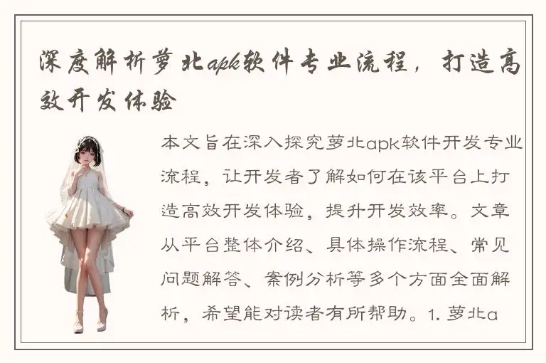 深度解析萝北apk软件专业流程，打造高效开发体验