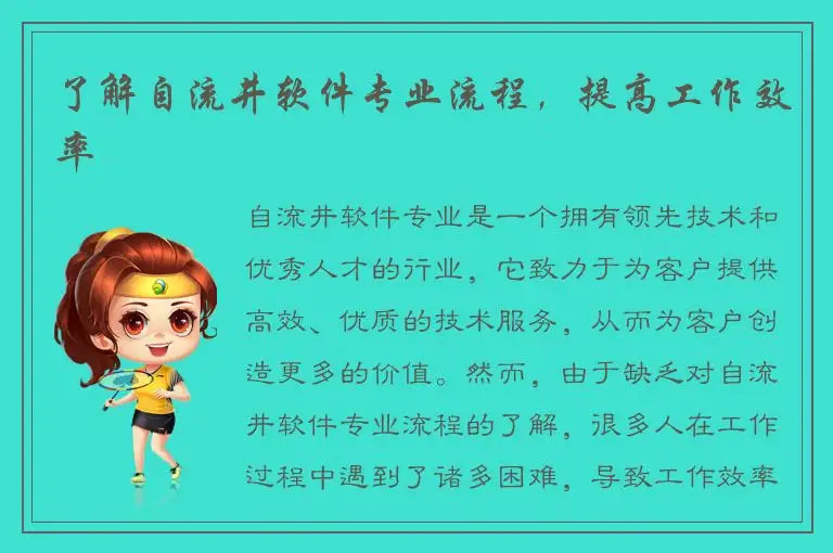 了解自流井软件专业流程，提高工作效率