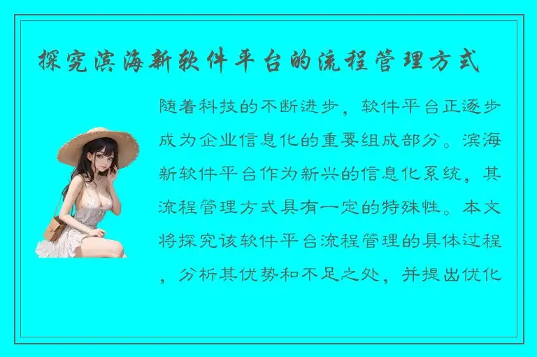 探究滨海新软件平台的流程管理方式