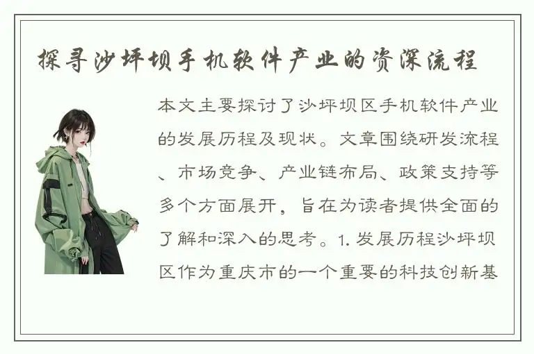 探寻沙坪坝手机软件产业的资深流程