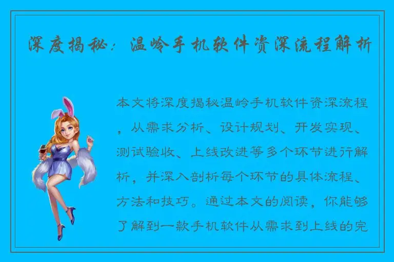 深度揭秘：温岭手机软件资深流程解析