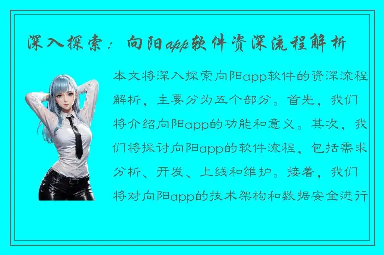 深入探索：向阳app软件资深流程解析