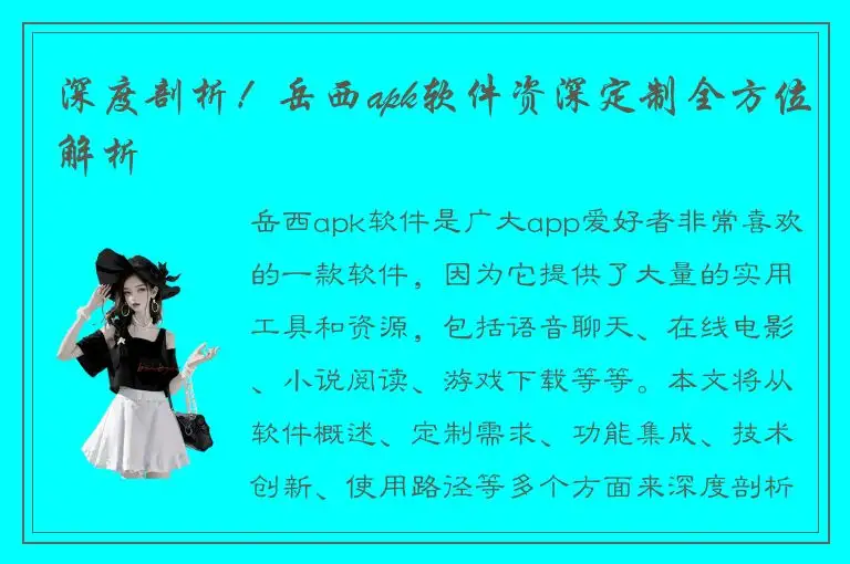 深度剖析！岳西apk软件资深定制全方位解析
