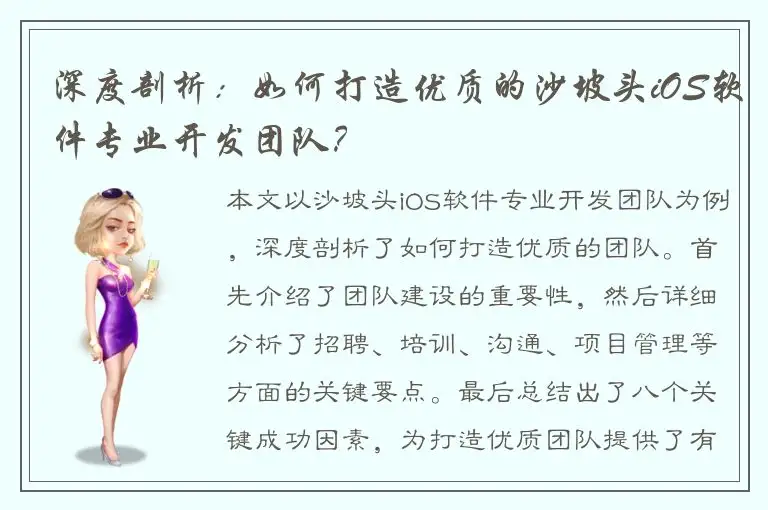 深度剖析：如何打造优质的沙坡头iOS软件专业开发团队？