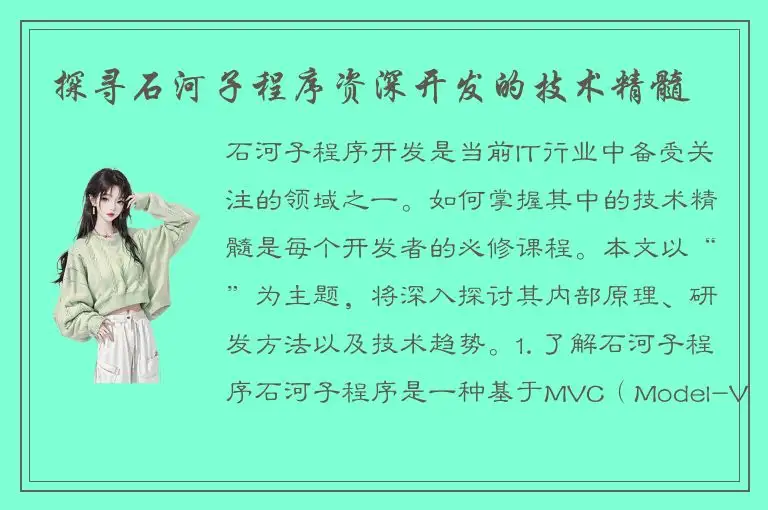 探寻石河子程序资深开发的技术精髓