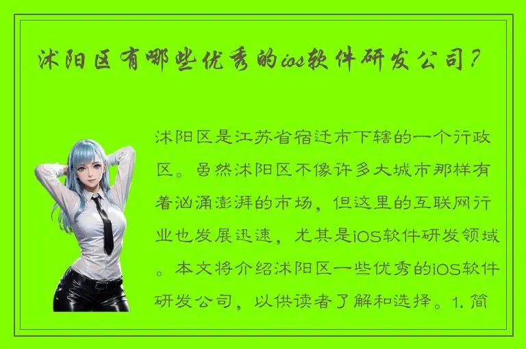 沭阳区有哪些优秀的ios软件研发公司？