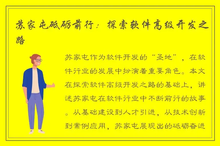 苏家屯砥砺前行：探索软件高级开发之路