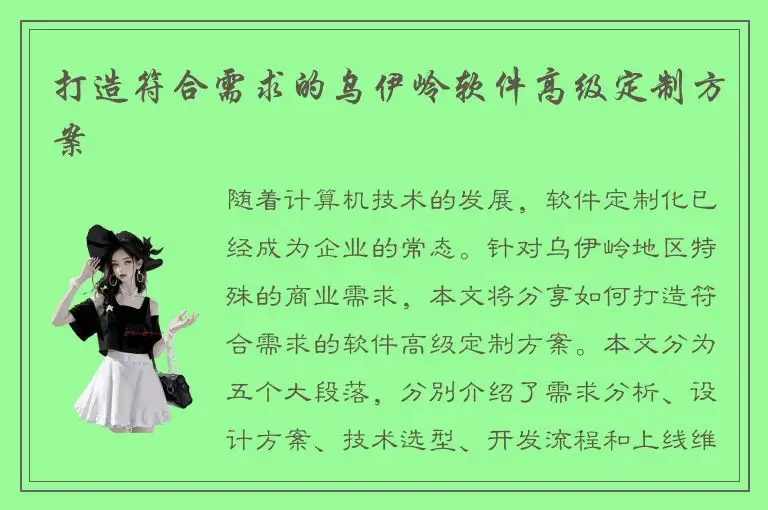 打造符合需求的乌伊岭软件高级定制方案