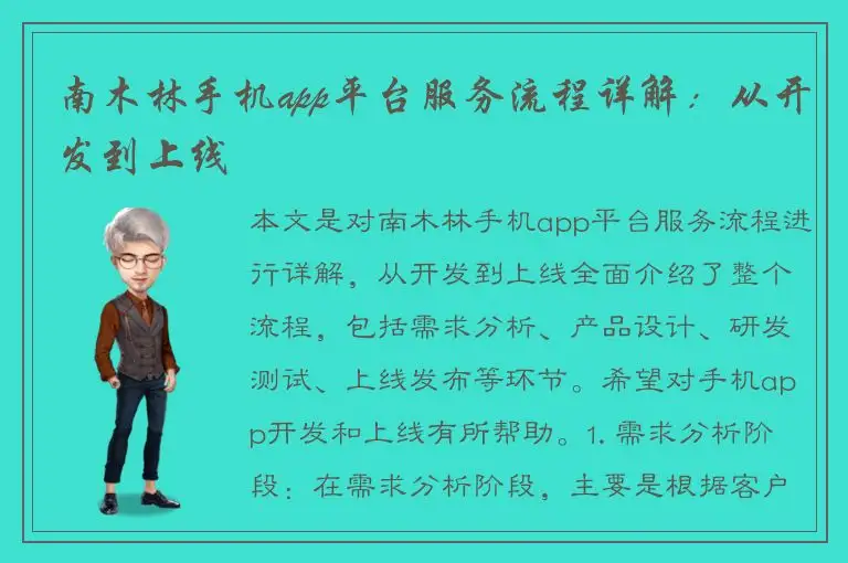 南木林手机app平台服务流程详解：从开发到上线