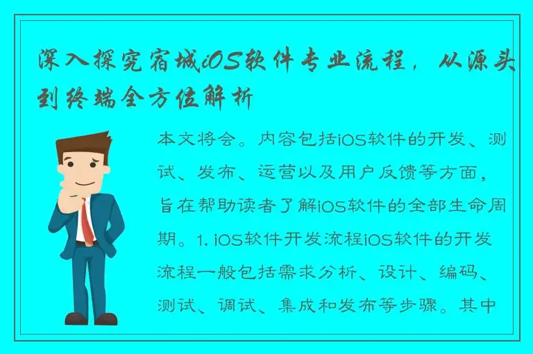 深入探究宿城iOS软件专业流程，从源头到终端全方位解析