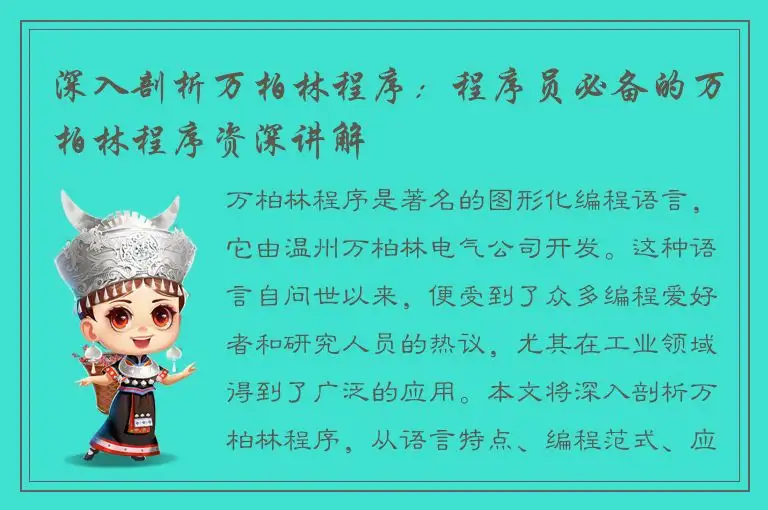 深入剖析万柏林程序：程序员必备的万柏林程序资深讲解