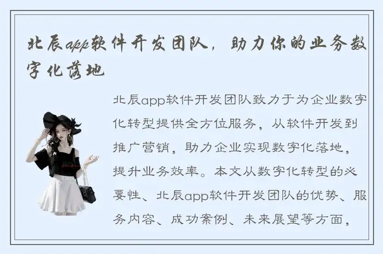 北辰app软件开发团队，助力你的业务数字化落地