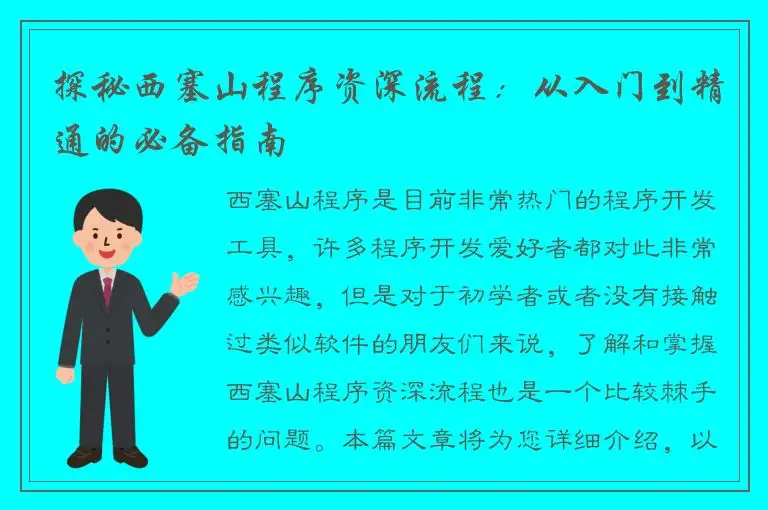 探秘西塞山程序资深流程：从入门到精通的必备指南