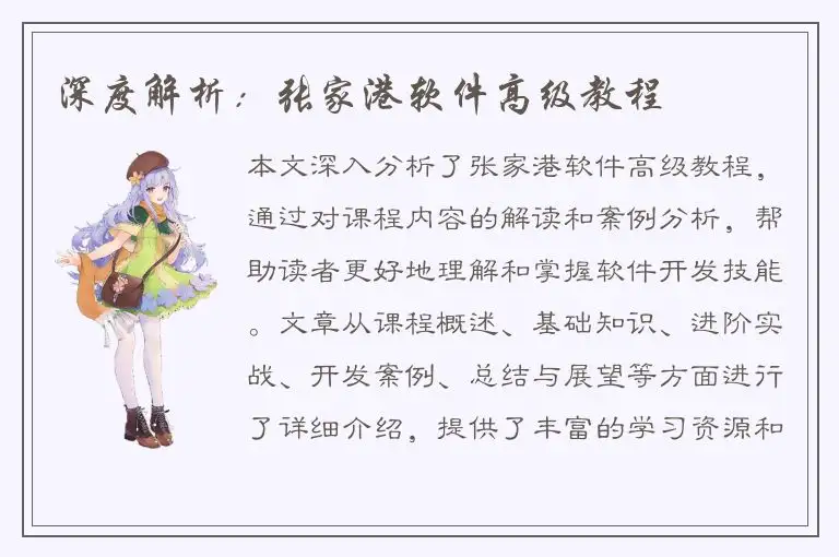 深度解析：张家港软件高级教程