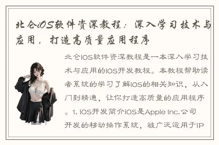 北仑iOS软件资深教程：深入学习技术与应用，打造高质量应用程序