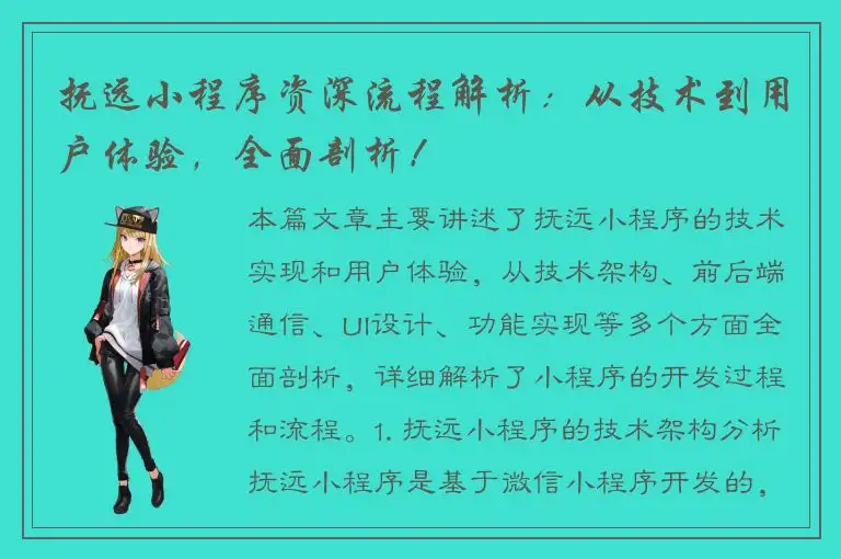 抚远小程序资深流程解析：从技术到用户体验，全面剖析！