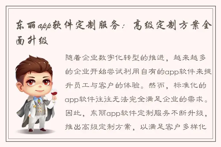 东丽app软件定制服务：高级定制方案全面升级
