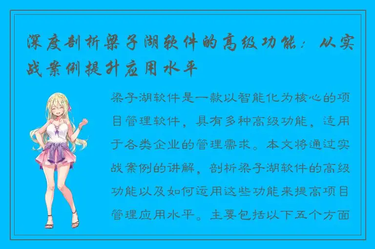 深度剖析梁子湖软件的高级功能：从实战案例提升应用水平