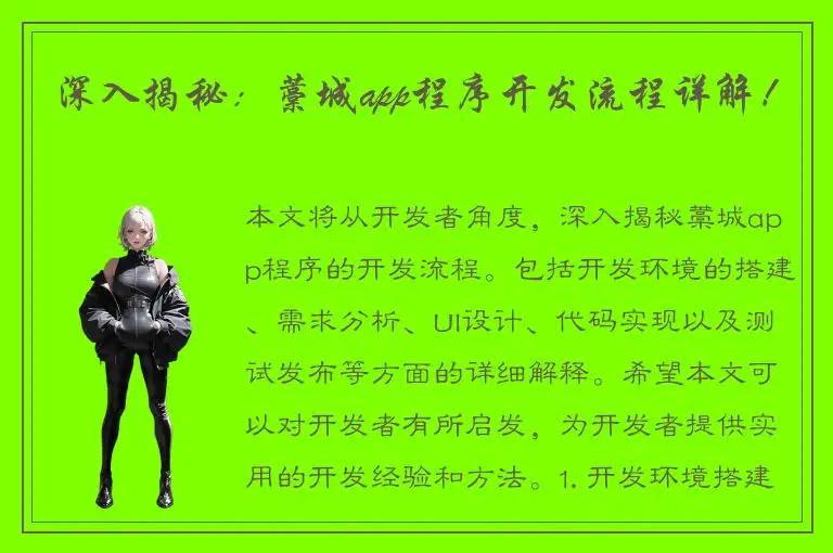深入揭秘：藁城app程序开发流程详解！