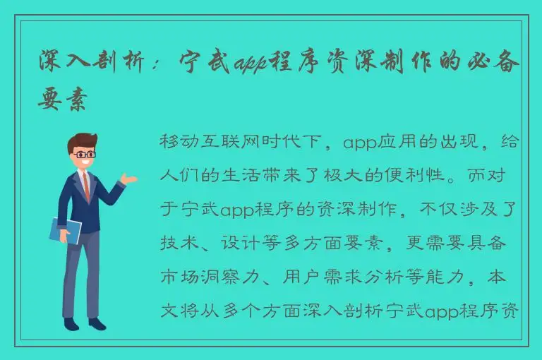 深入剖析：宁武app程序资深制作的必备要素