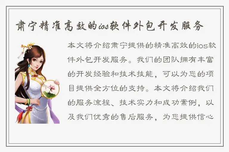 肃宁精准高效的ios软件外包开发服务