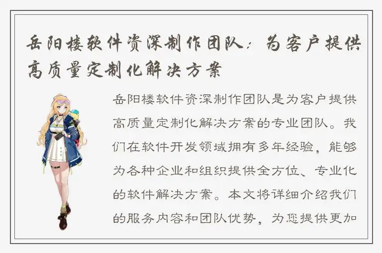 岳阳楼软件资深制作团队：为客户提供高质量定制化解决方案