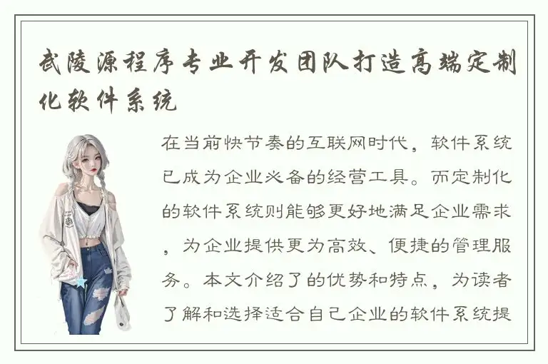 武陵源程序专业开发团队打造高端定制化软件系统