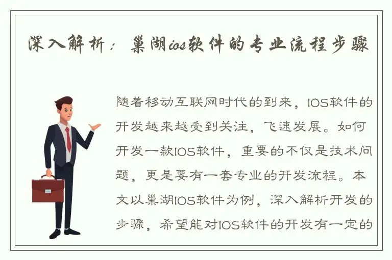 深入解析：巢湖ios软件的专业流程步骤