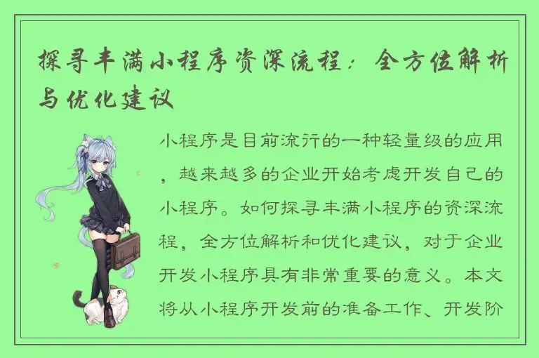 探寻丰满小程序资深流程：全方位解析与优化建议