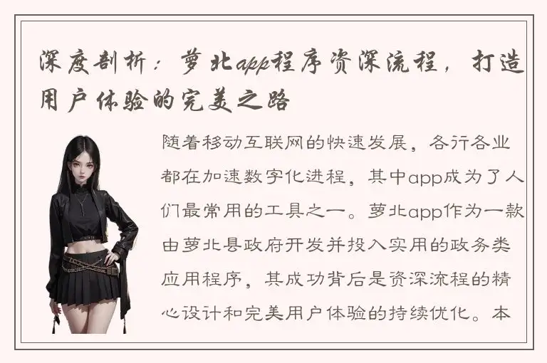 深度剖析：萝北app程序资深流程，打造用户体验的完美之路