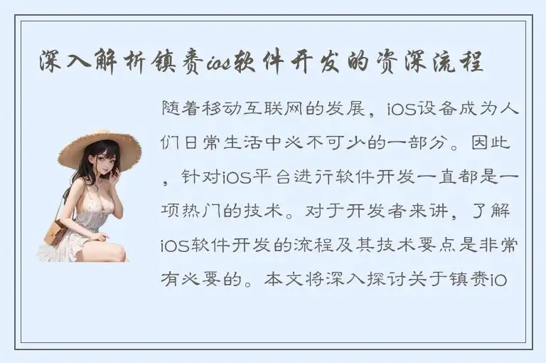 深入解析镇赉ios软件开发的资深流程