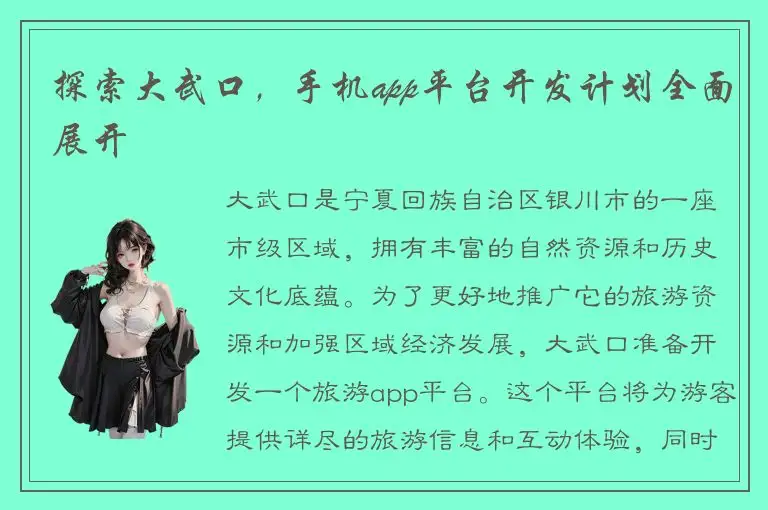 探索大武口，手机app平台开发计划全面展开