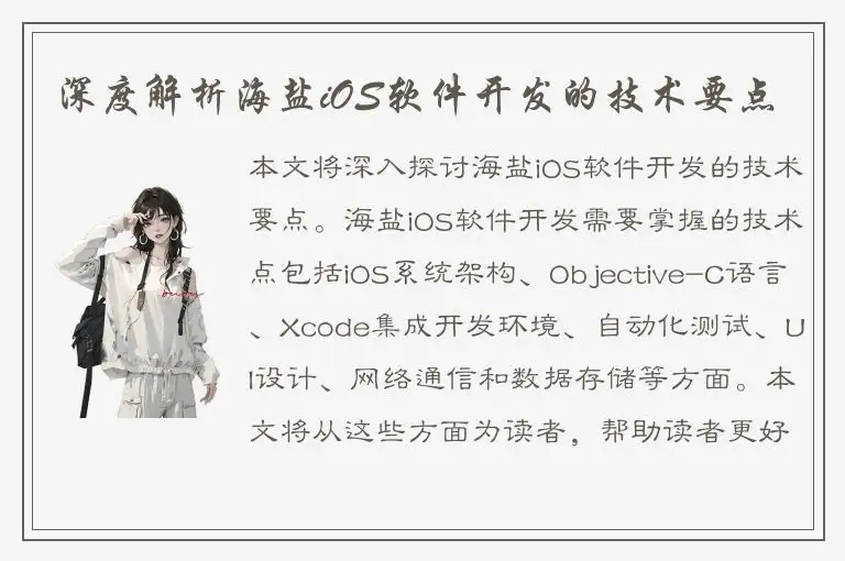 深度解析海盐iOS软件开发的技术要点