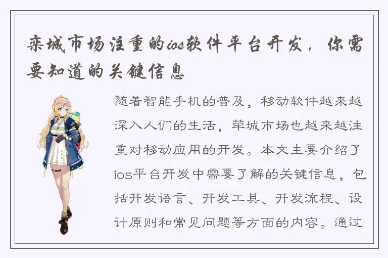 栾城市场注重的ios软件平台开发，你需要知道的关键信息