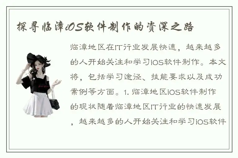 探寻临漳iOS软件制作的资深之路