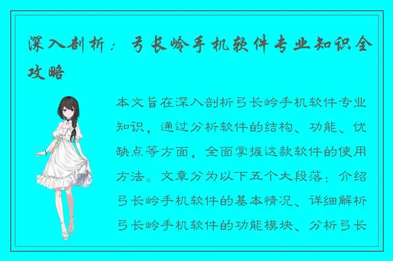深入剖析：弓长岭手机软件专业知识全攻略