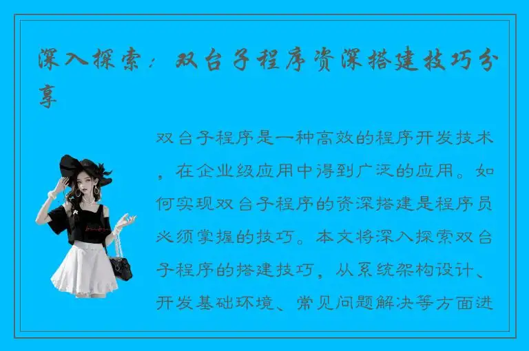 深入探索：双台子程序资深搭建技巧分享
